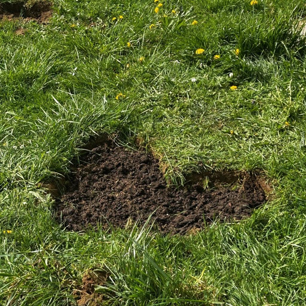 ein Blumenherz