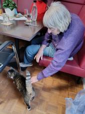 Eine ältere Frau in einem lila Pullover sitzt in einem Restaurant und wird von einer schwarzen Katze an der Hose geknackselt.