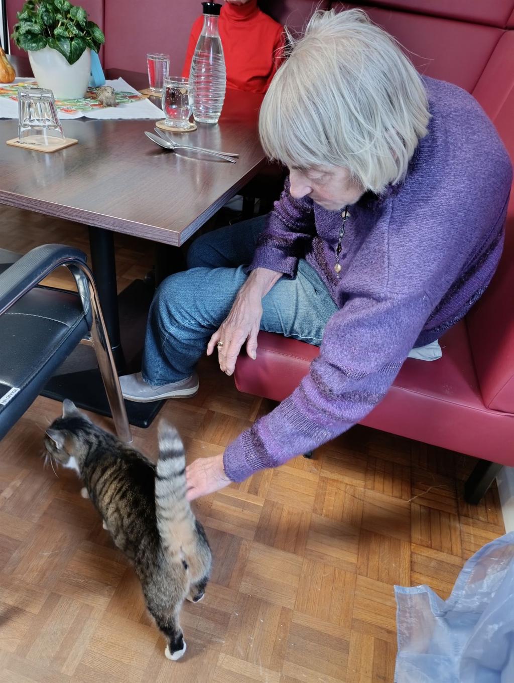 Eine ältere Frau in einem lila Pullover sitzt in einem Restaurant und wird von einer schwarzen Katze an der Hose geknackselt.